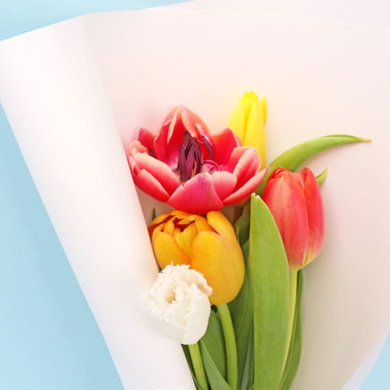 Tulip Market Bunch - Standard