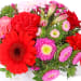Red & Pink Florist Choice Box - Standard