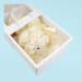 Preserved White Posy - Standard