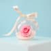 Preserved Pink Rose Orb - Standard