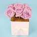 Little Rose Flower Box - Standard