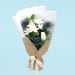 Seaholly Serenade - Standard
