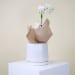 Petite Ceramic Orchid Delight - Standard