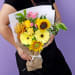 Vivid Petal Radiance - Standard