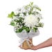 Thinking Of You Hat Box - Standard