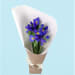 Iris Bunch - Standard