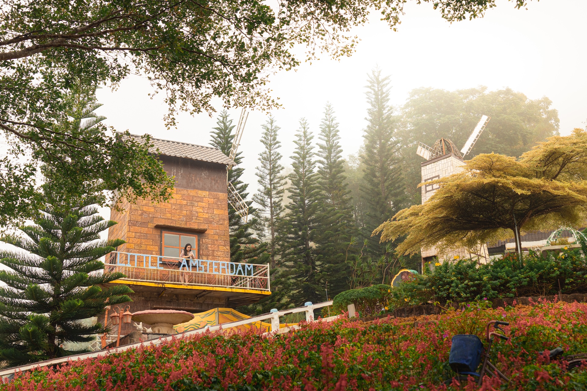 Little Amsterdam windmill buildings surrounded by pine trees and mist at Sirao Garden Cebu