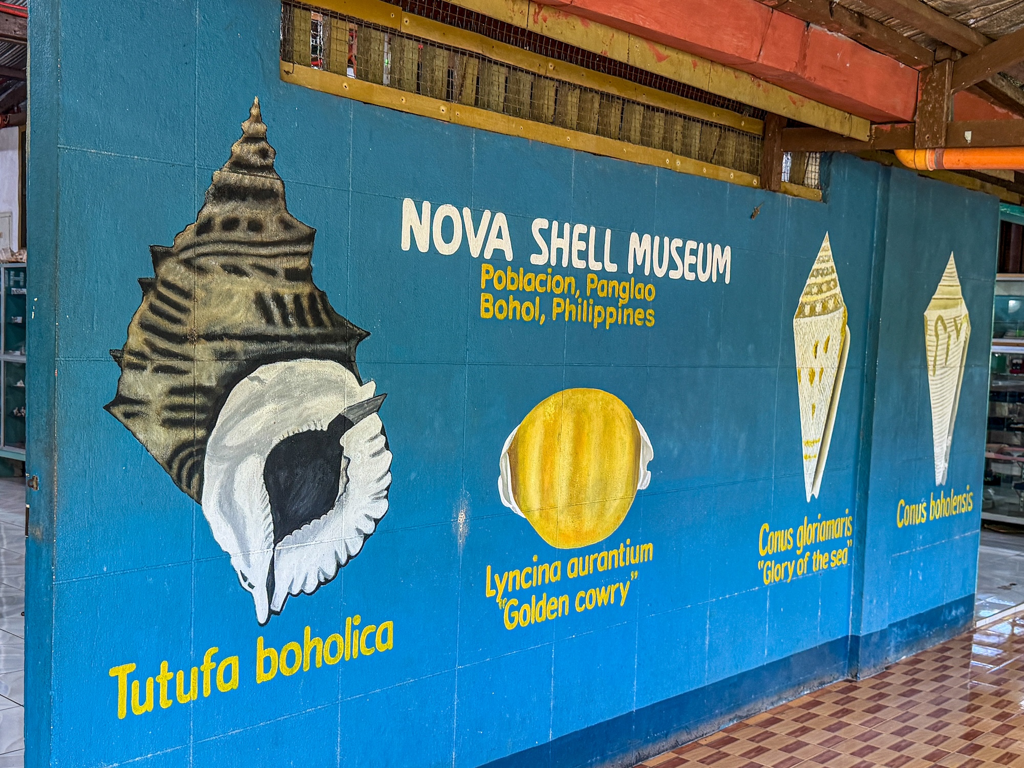 Nova Shell Museum