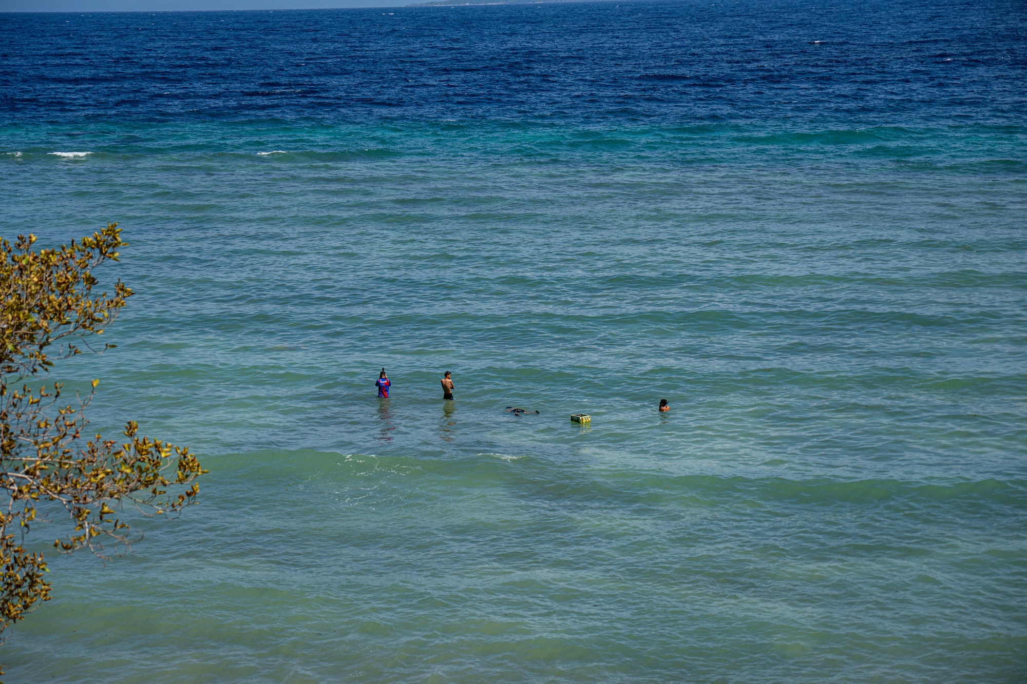 People swimming at the beach