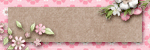 DDR DDR