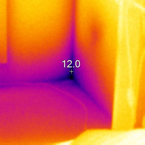 Can thermal imaging detect mold in walls? - Blackview Blog