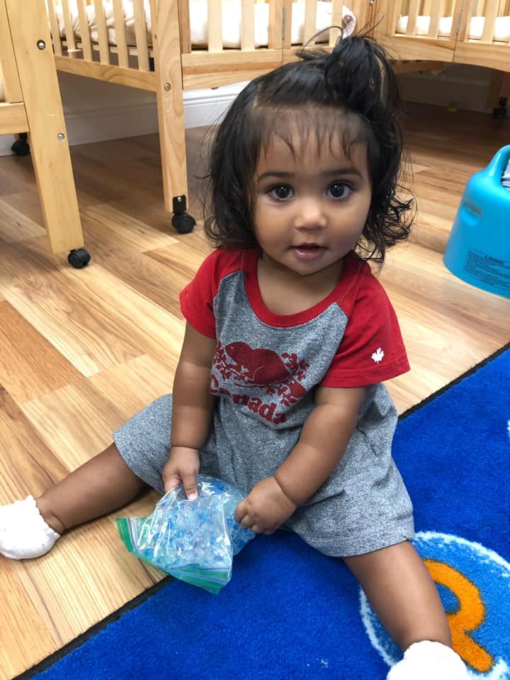 Weston Pre-Kindergarten, Testimonials, A Children’s Carousel, A Children’s Carousel