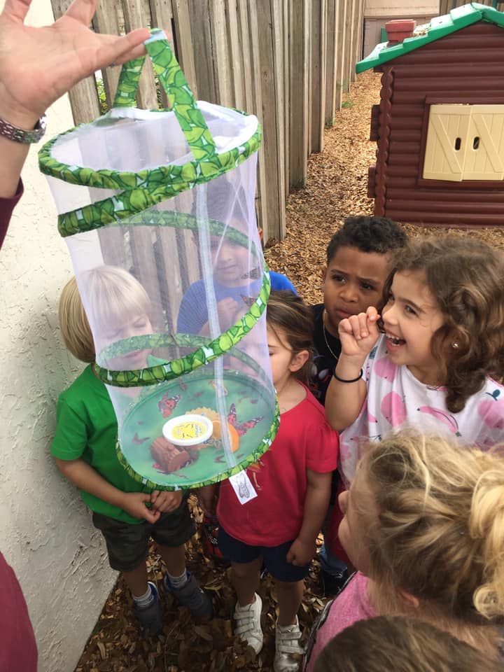 developmental preschool, Why Choose A Children’s Carousel?, A Children’s Carousel, A Children’s Carousel