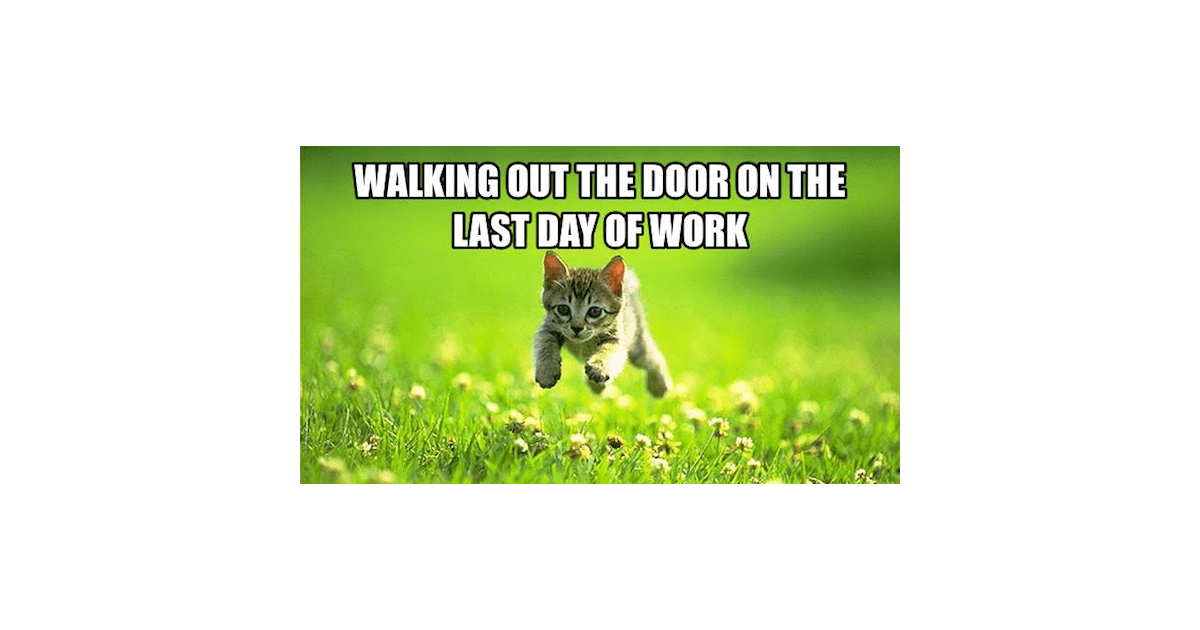 25 Memes to Celebrate Your Last Day at Work | Fairygodboss