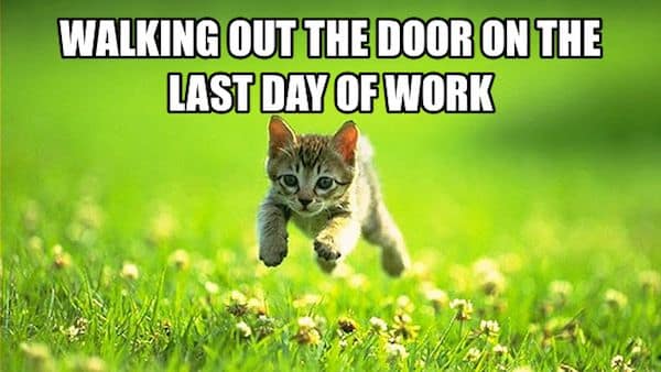 25 Memes to Celebrate Your Last Day at Work | Fairygodboss