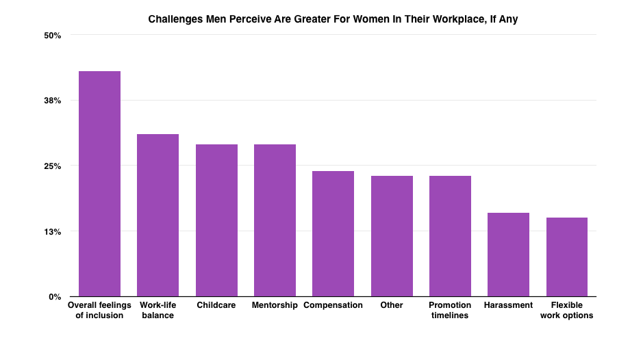 Men's perception of working women