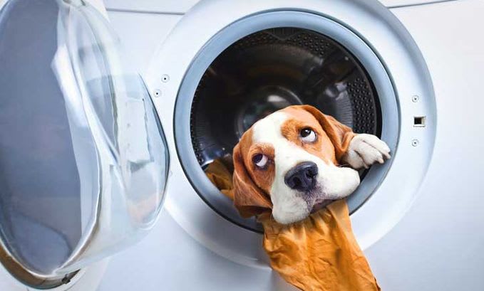 No rotation of the washer drum No rotation of the washer drum