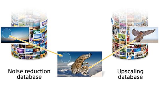 Sony Dual Database Processing