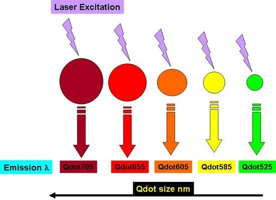 QLED operation principle