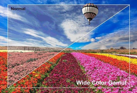 Wide Color Gamut