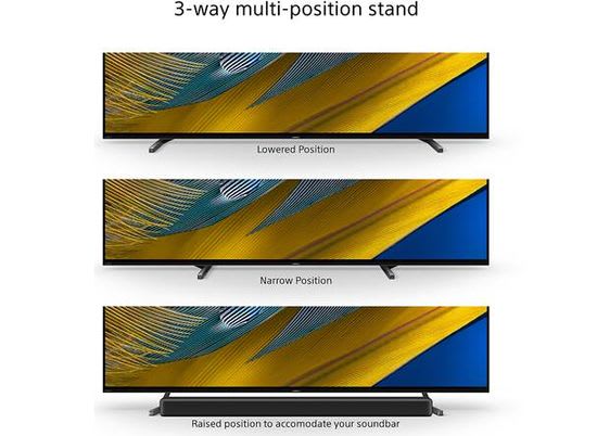 Sony Bravia A80J Stand