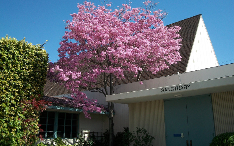 Photo of San Marino Congregational Church UCC