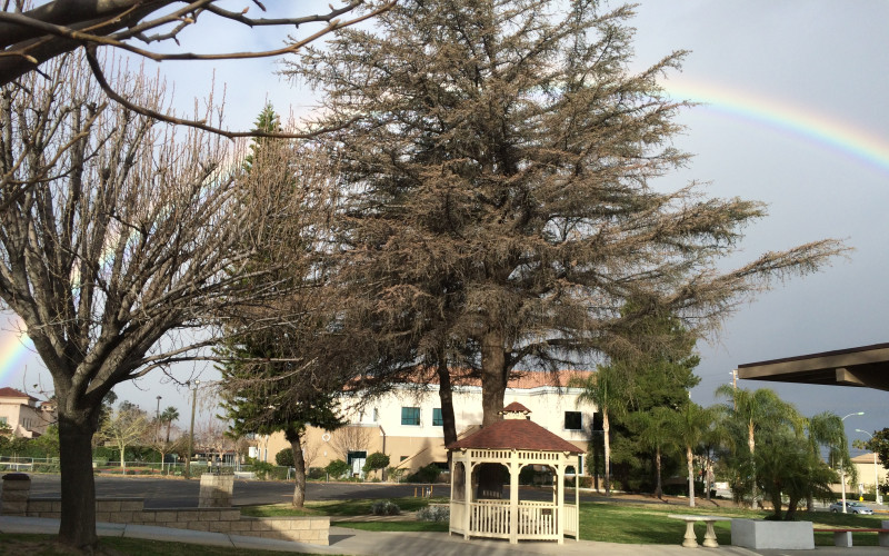 Photo of Peace Lutheran Church