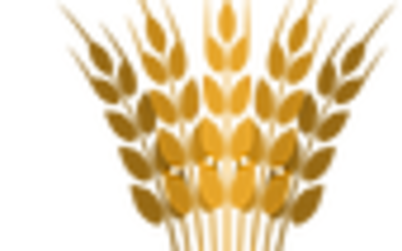 Photo of Bread of Life United Pentecostal Church