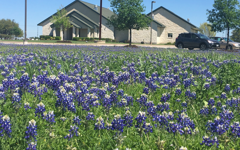 Photo of Cross And Crown Lutheran Church