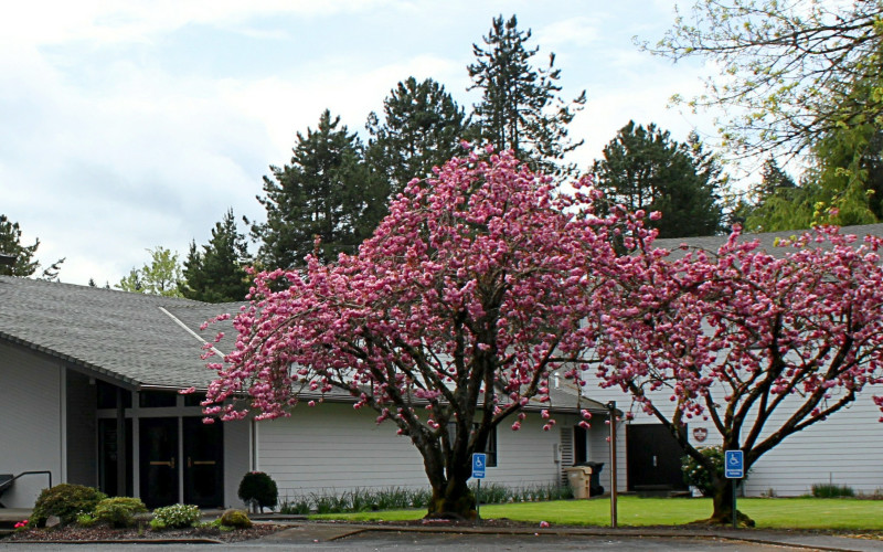Photo of Tualatin Seventh-day Adventist Church