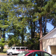 Miracle temple church of God 355 Airport Rd Rockingham nc 28379 in Rockingham ,NC