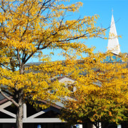 High Point Church in Madison,WI