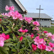 First Presbyterian Church in Tenino,WA