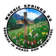Monnie Springs Assembly of God in Roland,AR