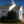 First Christian Church in Morehead City,NC