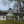 saint francis of assisi anglican catholic church in Gainesville,GA