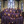St. Mark's Episcopal Church in Grand Rapids,MI