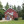 Grace Lutheran Church in Luray,VA