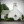 Iantha United Methodist Church in Iantha,MO
