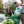 Greenpoint Reformed Church Hunger Program in Brooklyn,NY