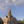Broad Street Presbyterian Church in Columbus,OH