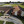 Northside Baptist Church in Lakeland,FL