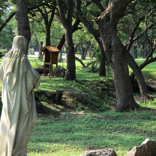 Photo of The Mission of Divine Mercy