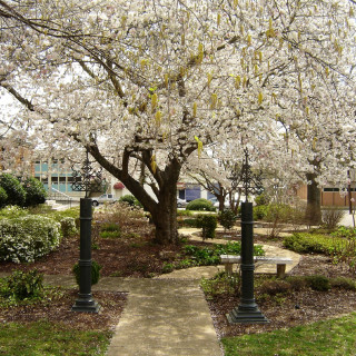 Photo of Grace Episcopal Church