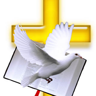 Rehoboth Ethiopian Evangelical Church 