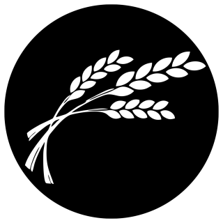 Harvest Point Church