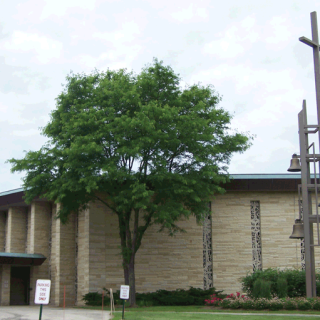Photo of St. Joseph Catholic Church
