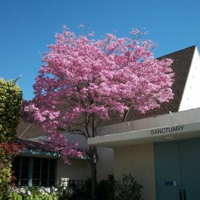 San Marino Congregational Church UCC in San Marino,CA 91108