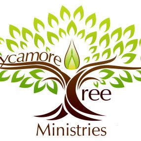 Sycamore Tree Church in Follansbee,WV 26037