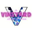 The Vineyard Church of Conroe